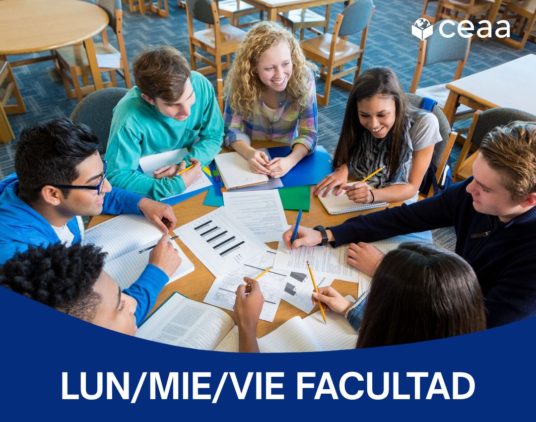 LMV FACU ONLINE